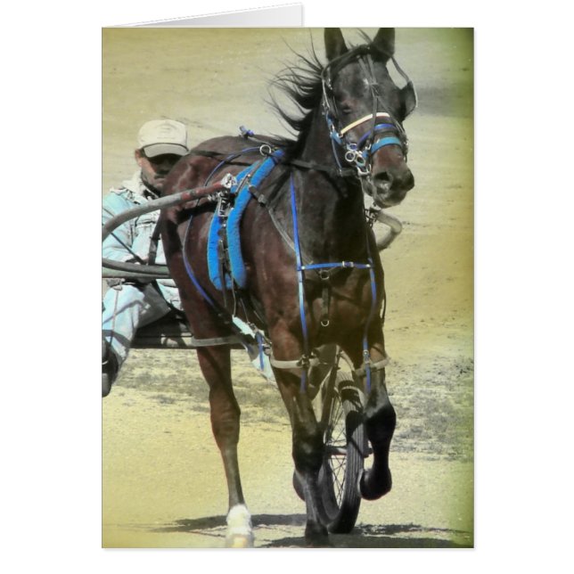 Standard Tävling Horse Hälsningskort (Framsidan)