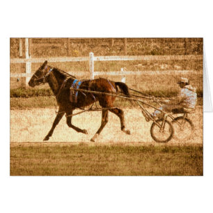 Standard Tävling Horse Hälsningskort