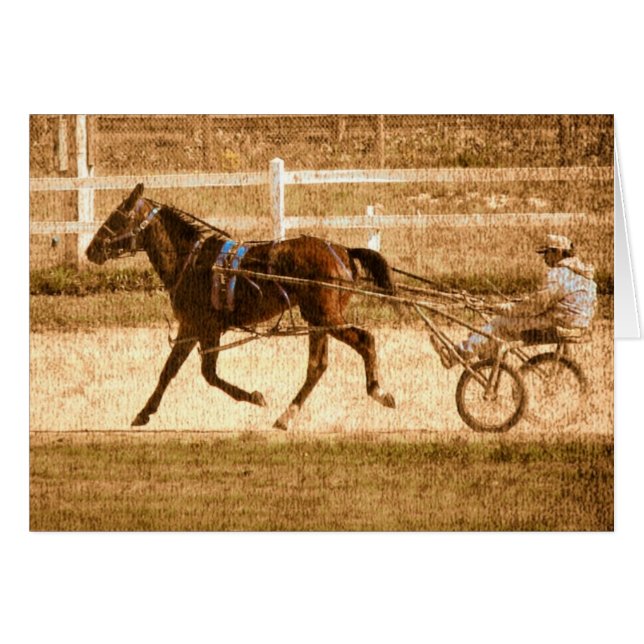 Standard Tävling Horse Hälsningskort (Framsidan Horizontal)