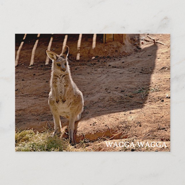 Standard vykort (Framsida)