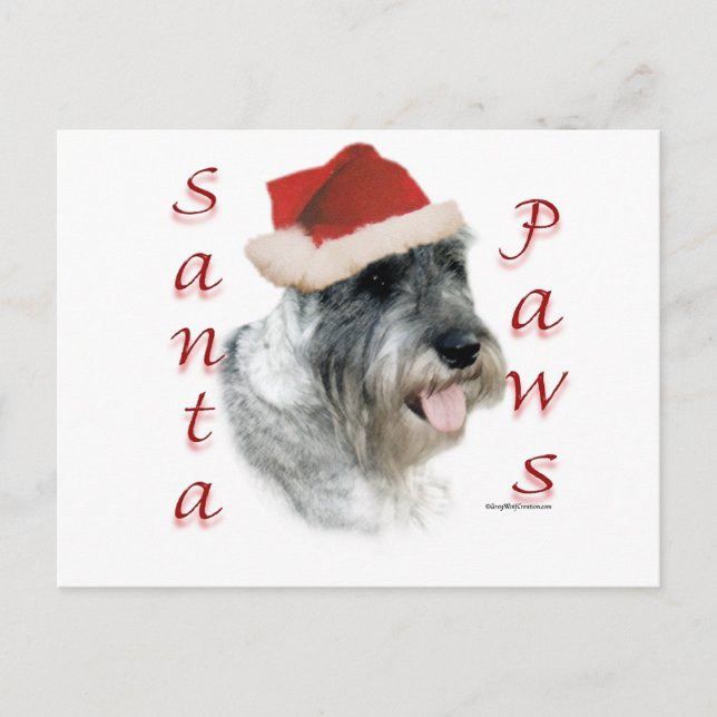 Standarda SchnauzerSanta tassar Helg Vykort (Framsida)