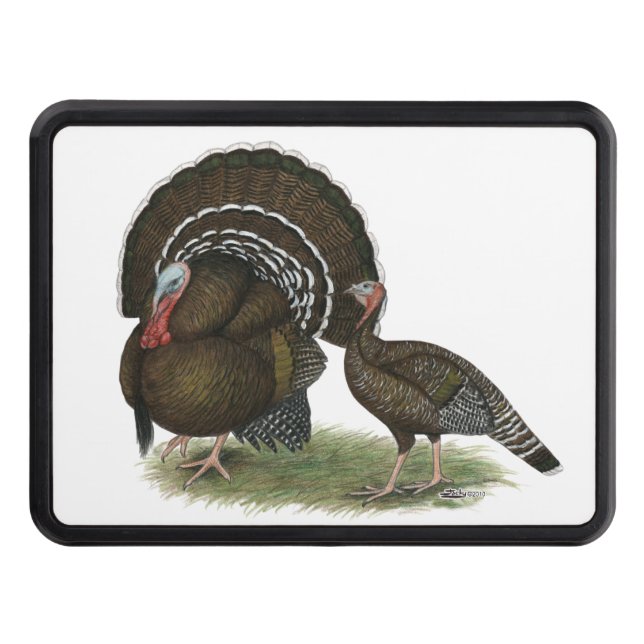 Standarda Turkiet brons Dragkroksskydd (Framsidan)