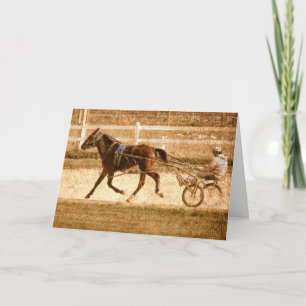 Standardbred tävlinghäst, Grunge Kort