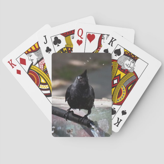 Standardindex för att dra upp fågelkort spel kort (Baksidan)