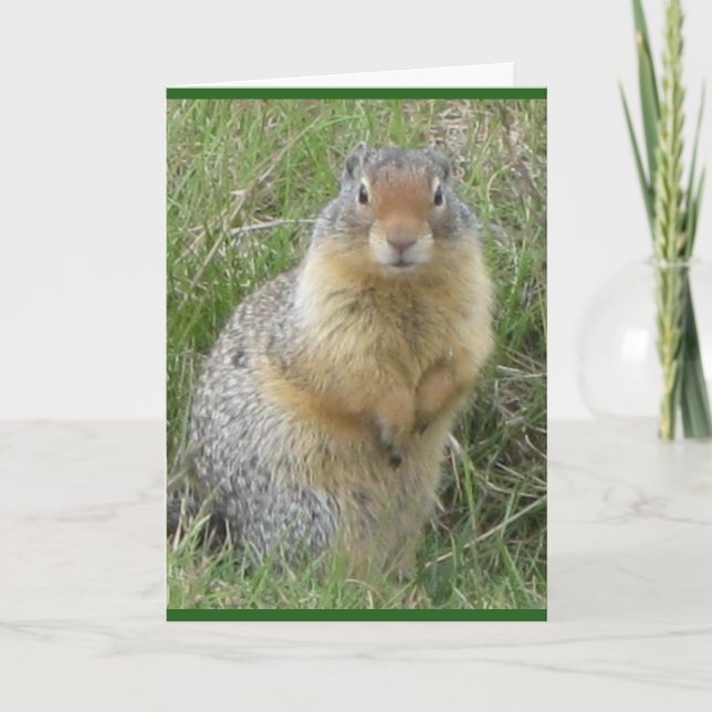 Standardkort för 5 tum x 7 tum-vikt kort (Framsida)