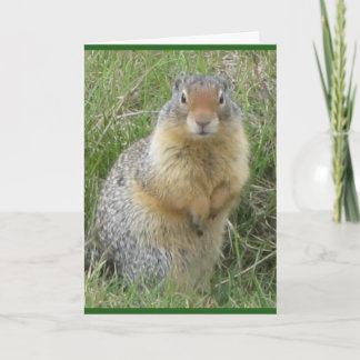 Standardkort för 5 tum x 7 tum-vikt kort