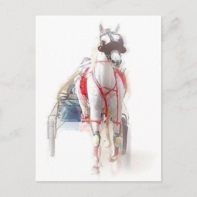 Standardrasist Horse Vykort (Framsida)