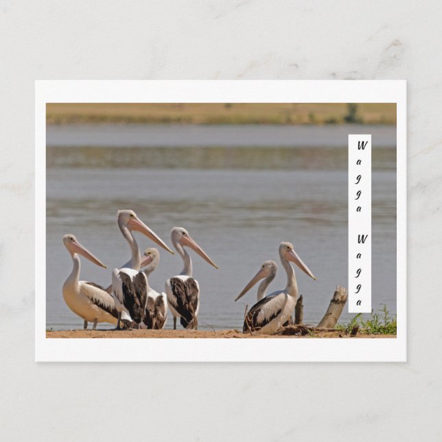 standardvykort vykort (Framsida)