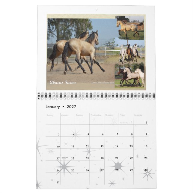 Standart format för Friesianarvhäst Kalender (Jan 2027)