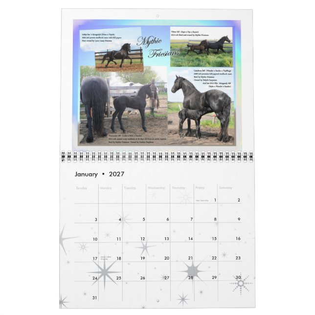 Standart format för Friesianhästfoto Kalender (Jan 2027)