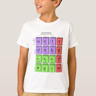 Standart modellera av elementarpartiklar tee shirt