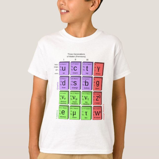 Standart modellera av elementarpartiklar tee shirt (Framsida)