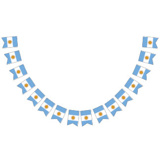 Standert: Argentina flagga