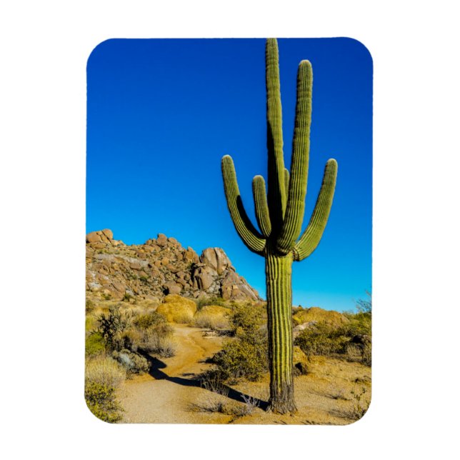 Ständiga Cactus Magnet (Vertikal)