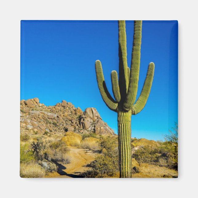 Ständiga Cactus Magnet (Framsidan)