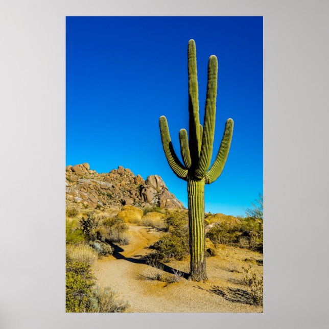 Ständiga Cactus Poster (Framsidan)