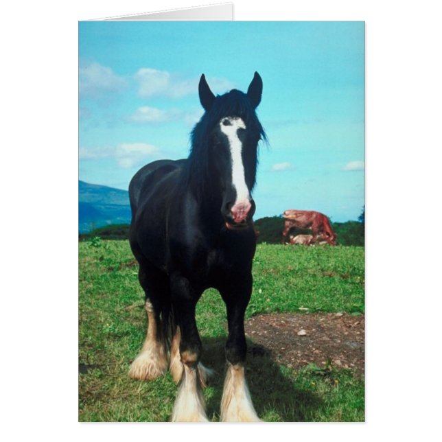 Ständiga Shire Hälsningskort (Framsidan)