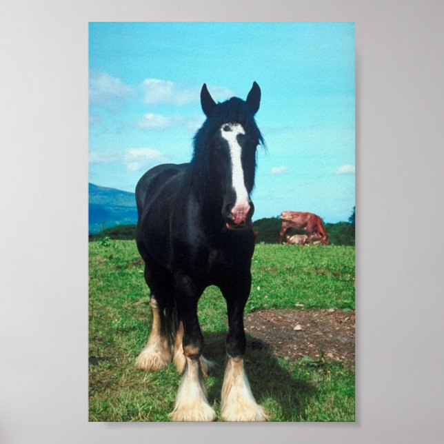 Ständiga Shire Poster (Framsidan)