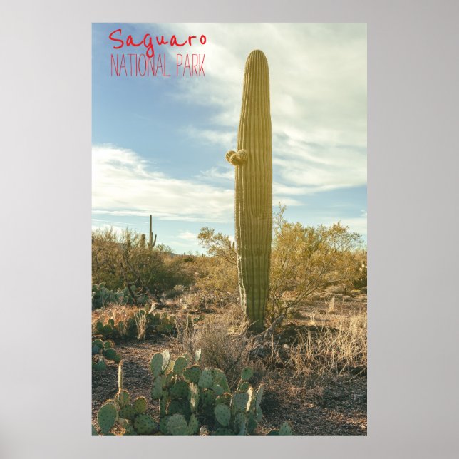 Ständiga Tall Poster (Framsidan)