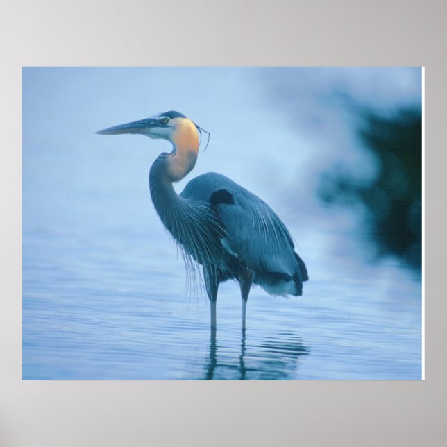 Ständiga Tall Poster (Framsidan)