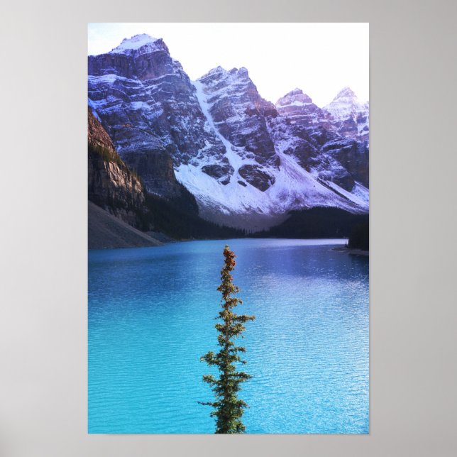 Ständiga Tall Poster (Framsidan)