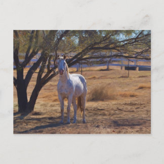 Ständiga Tall Vykort