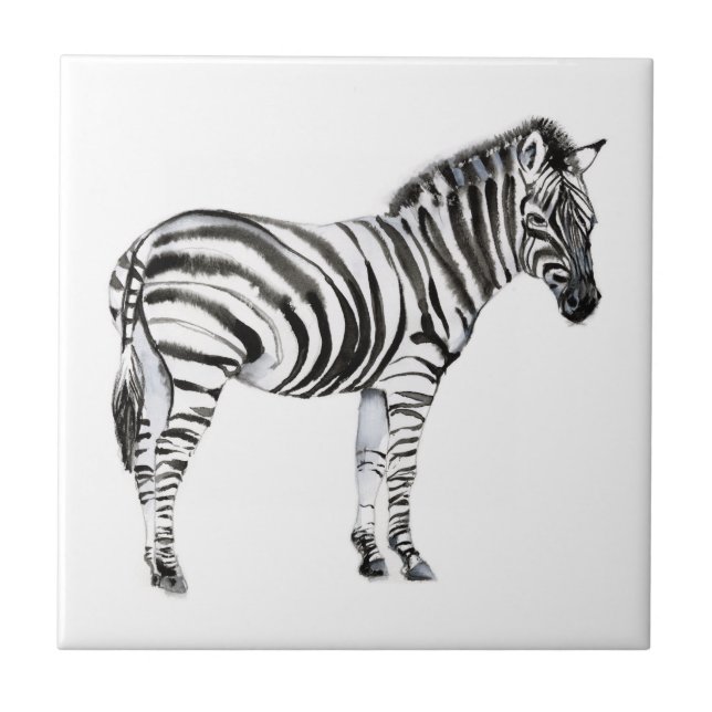 Ständiga Zebra Kakelplatta (Framsidan)