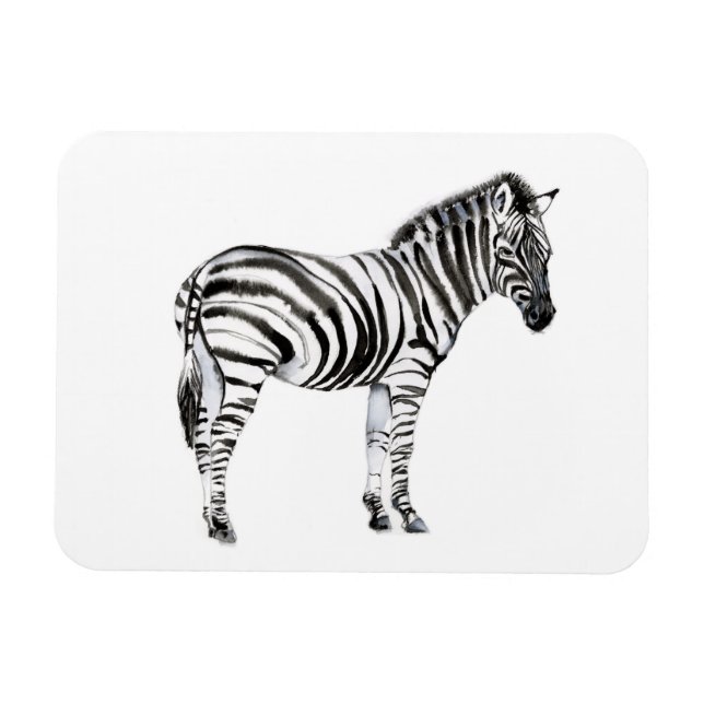Ständiga Zebra Magnet (Horisontell)