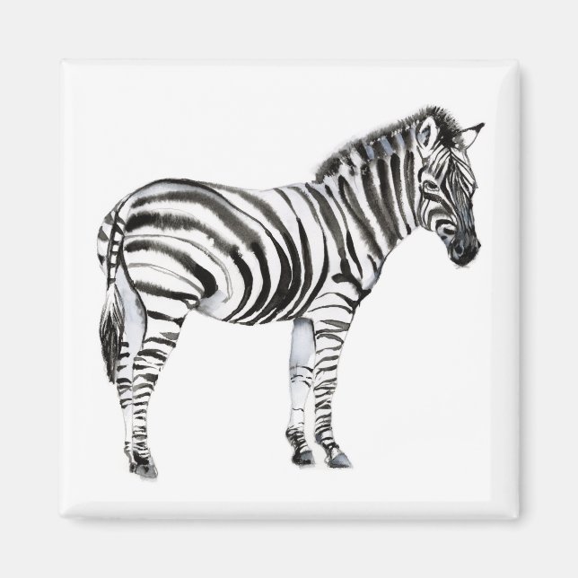 Ständiga Zebra Magnet (Framsidan)