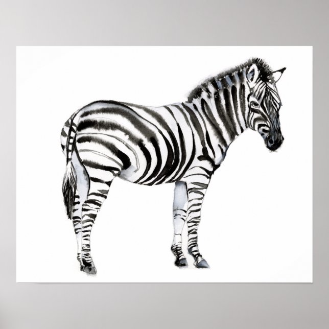 Ständiga Zebra Poster (Framsidan)