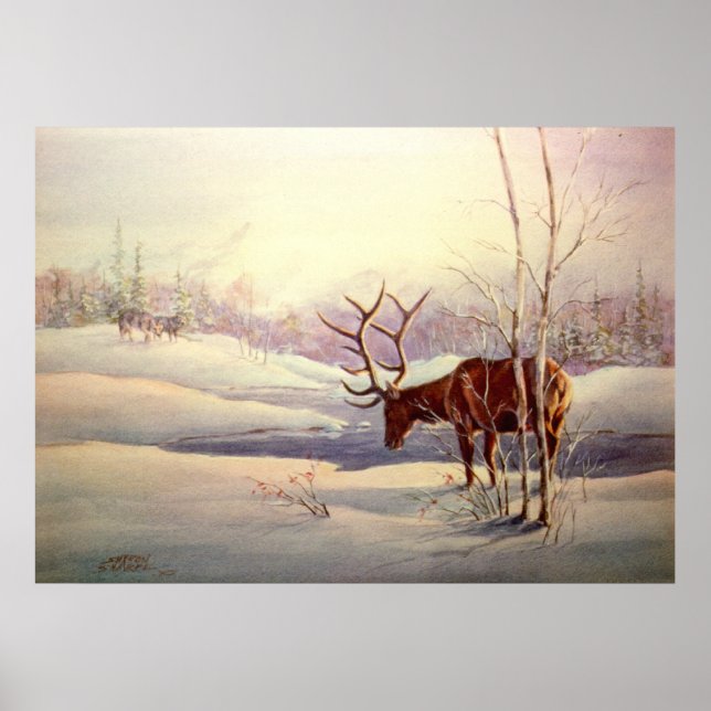 STANDOFF by SHARON SHARPE Poster (Framsidan)