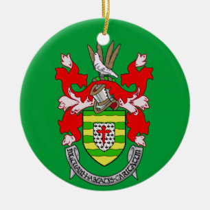 Ståndsmässig Donegal inte Irland prydnad Julgransprydnad Keramik