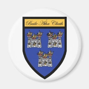 Ståndsmässig Dublin magnet