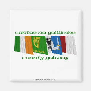 Ståndsmässig Galway flaggor Magnet