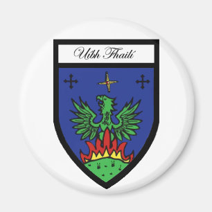 Ståndsmässig Offaly magnet