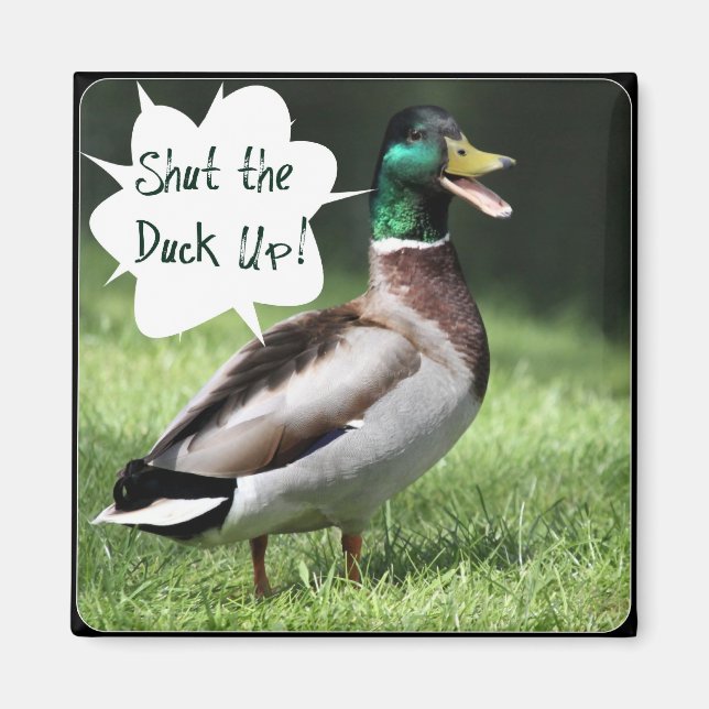 Stäng Anka Up Magnet (Framsidan)