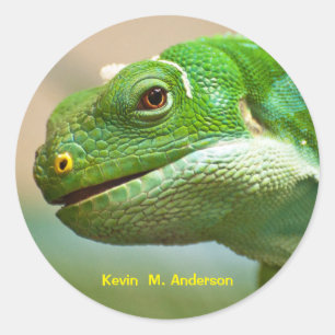 Stäng Ansiktet Grönt Reptile Runt Klistermärke