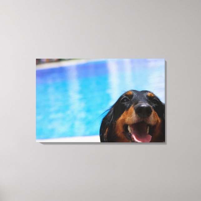 Stäng av en Dachshund-hund-panting Canvastryck (Framsida)