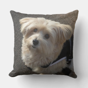 Stäng av lite Hund Kudde