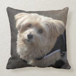 Stäng av lite Hund Kudde