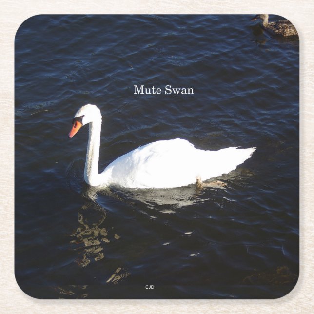 Stäng av papper underlägg för Svan Kvadrat (Framsidan)