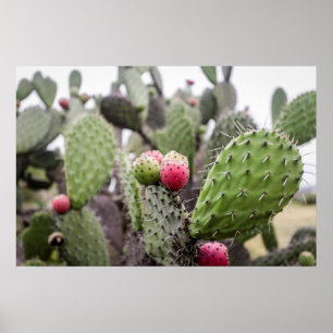 Stäng av prickade päronaktualer poster