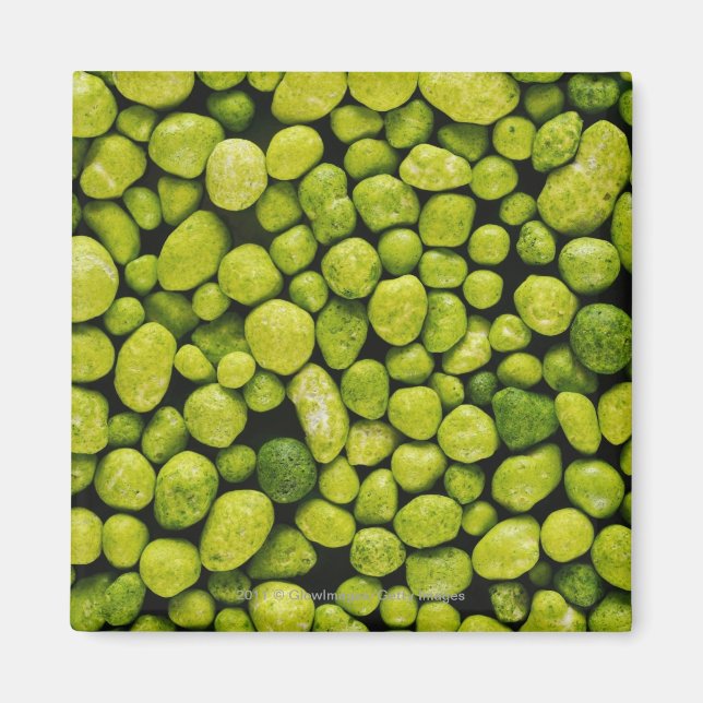 Stäng av småstarna för grönt magnet (Framsidan)