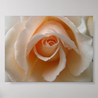 Stäng Blommarna Ro uppåt Poster