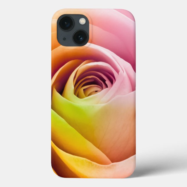 Stäng Colorful Ro Petals (Baksida)