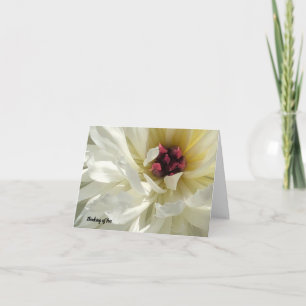 Stäng Creamy White Peony Flower Sympathy Card Kort