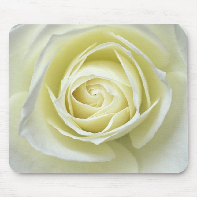 Stäng detaljer om vit ros musmatta (Framsidan)