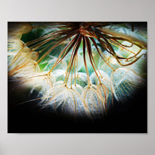 Stäng detaljfoto för blommans natur poster