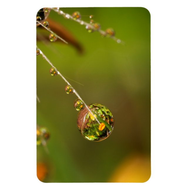 Stäng droplet vatten magnet (Vertikal)