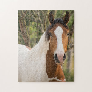Stäng en Paint Horse Pussel